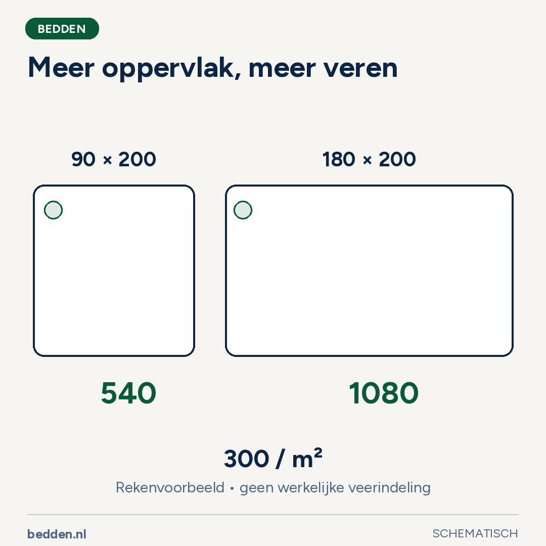 Meer oppervlak, meer veren. Rekenvoorbeeld • geen werkelijke veerindeling