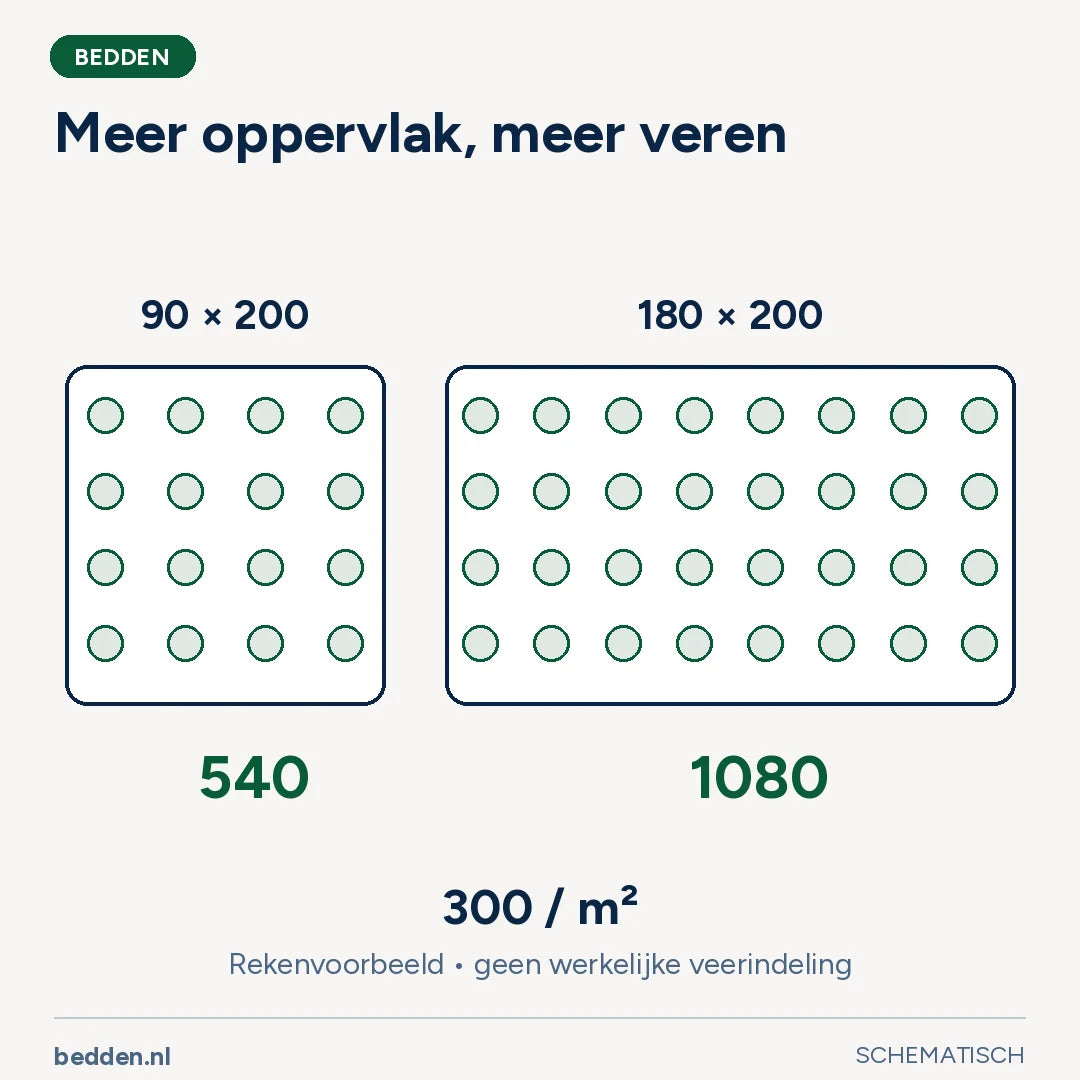 Meer oppervlak, meer veren. Rekenvoorbeeld • geen werkelijke veerindeling